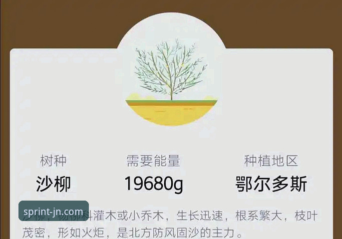 5个关键维度深度解析最新江南体育手机版的多重价值
